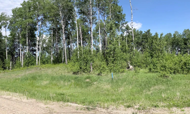 Block 1 Lot 6 Elk Ridge Estates