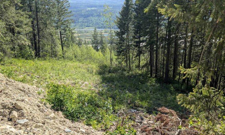 Site #12, 13 , 14-3483 Highway 95