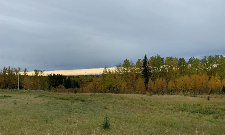 Highway 16 And Range Road 184