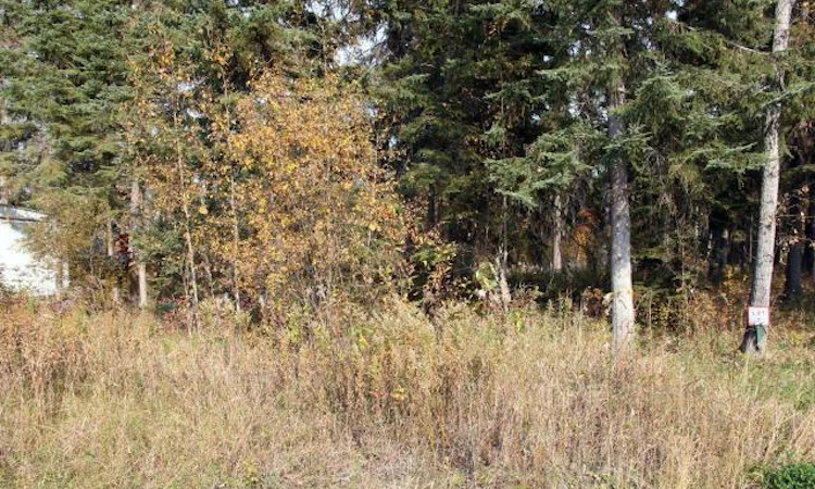 Lot 7 Willow Bay