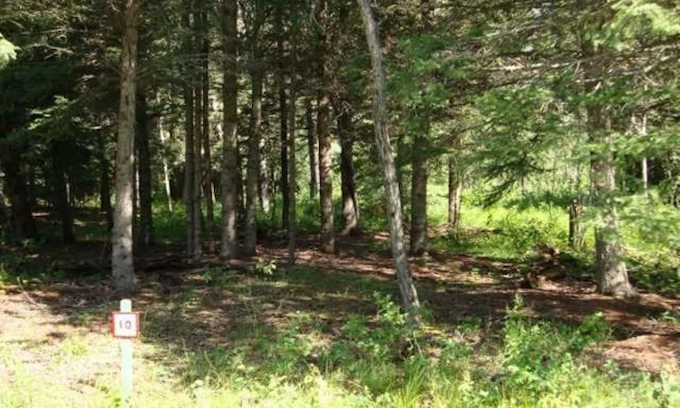 Lot 12 Oak Bay