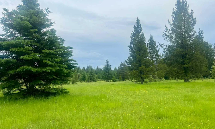 Lot 7 Twp Rd 534