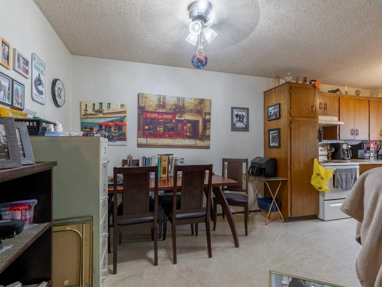 309 19 Street N, Lethbridge, AB, T1H 3K3 - 49