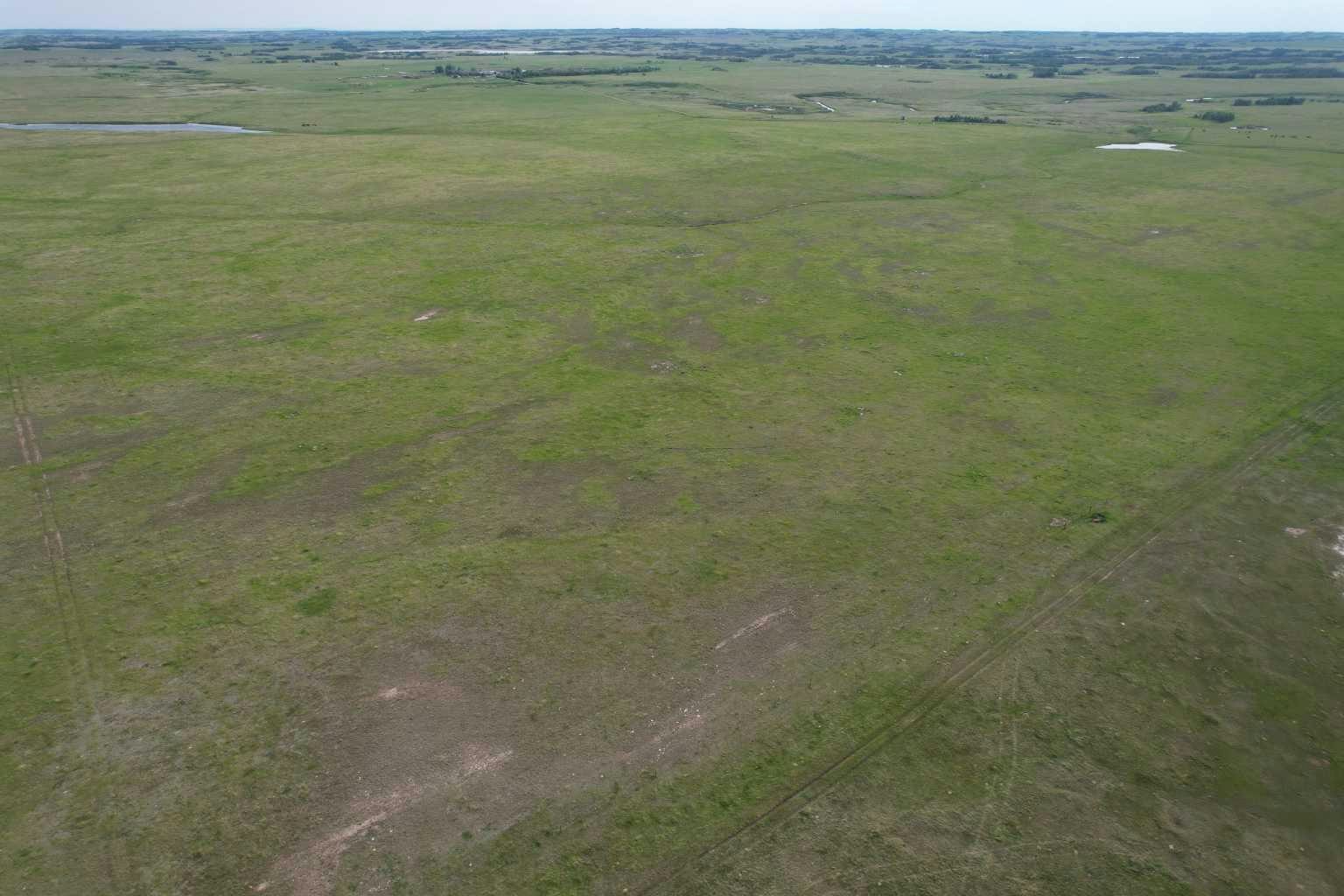 ON Range Road 154, Stettler, AB, T0J 1G0
