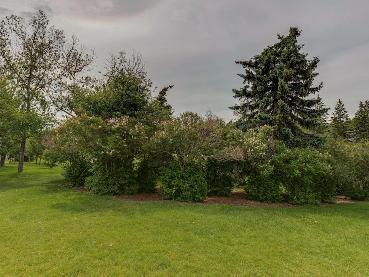 2144 Chilcotin Road NW, Calgary, AB, T2L 0X1 - 2