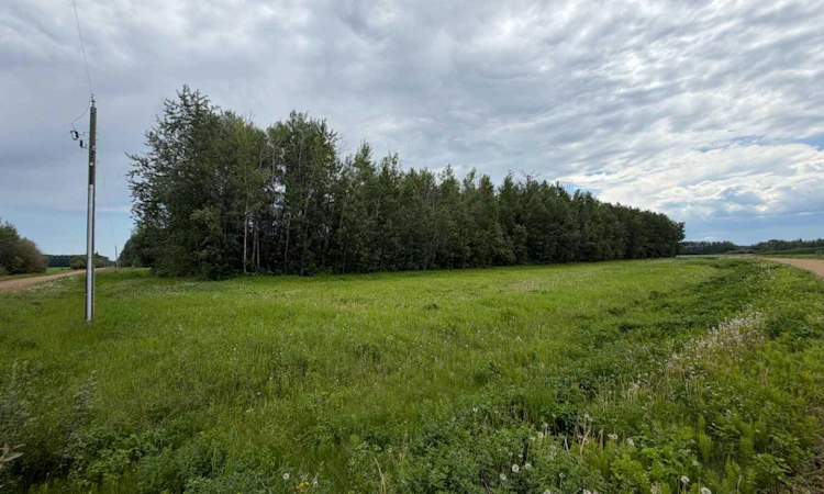 1 Spruce Point Estates Road