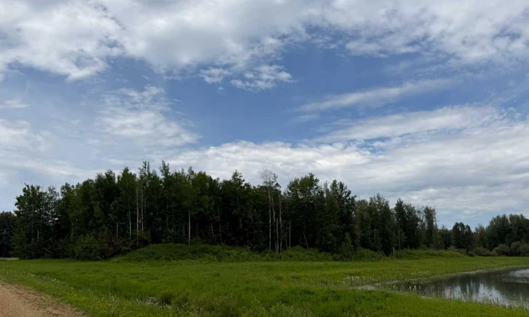 5 Spruce Point Estates Road