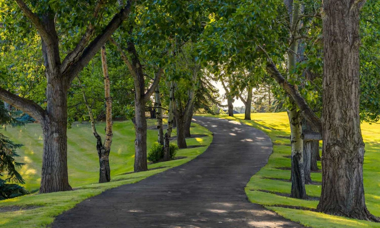 43 Cullen Creek Estates