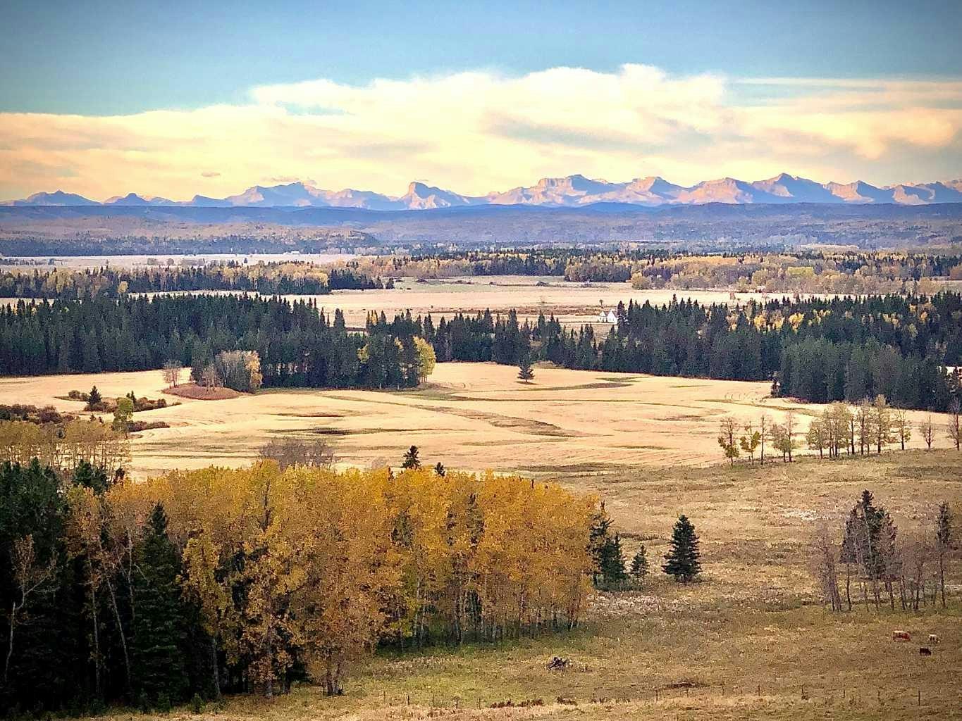 6029 Township Road 332, Rural Mountain View County, AB, T0M 1X0