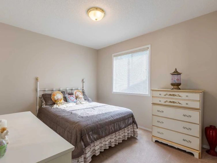 187 Cougar Way N, Lethbridge, AB, T1H 6P4 - 13