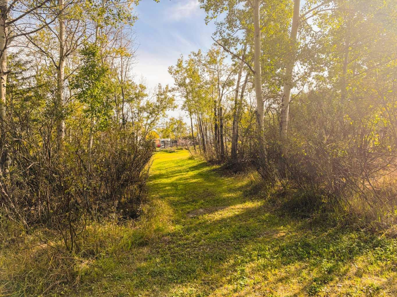 Pt. of SW-15-78-2-W6 23, Birch Hills County, AB, T0H 3P0