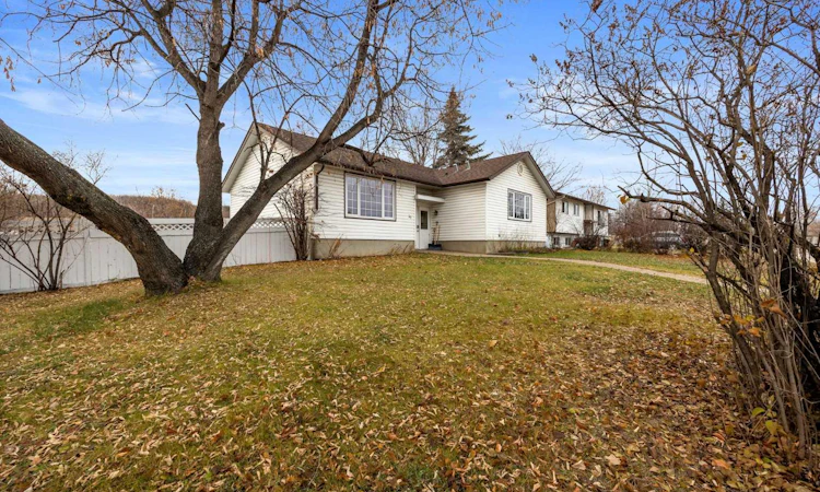 51 Fitzgerald Avenue