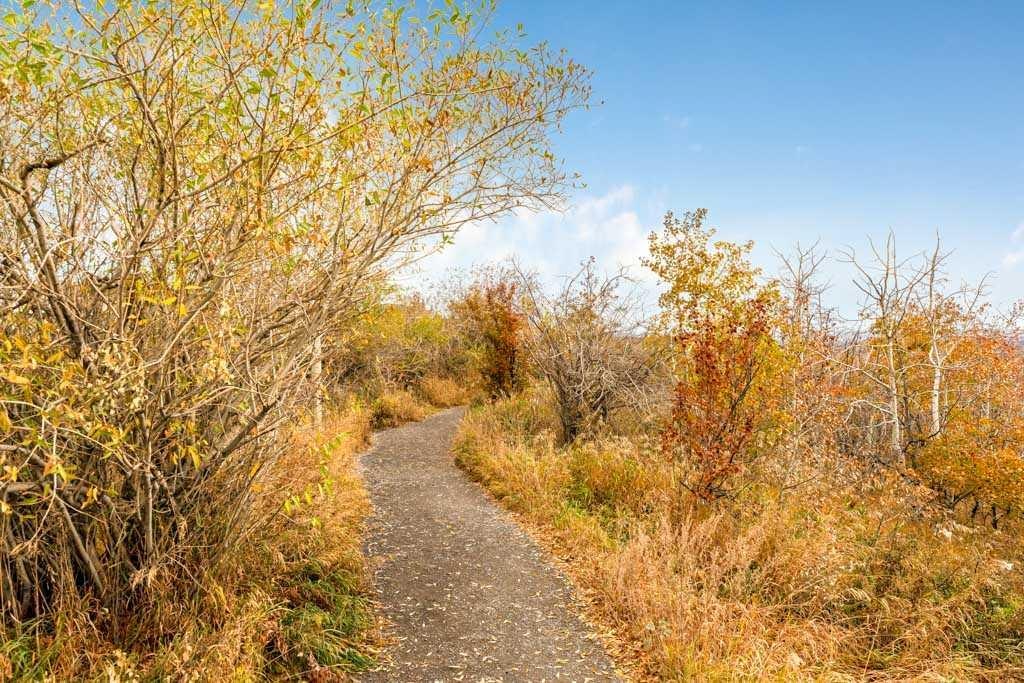 40 Cougar Ridge Heights SW, Calgary, AB, T3H 4X5 - 48