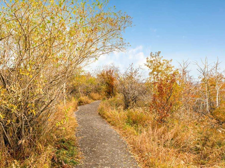 40 Cougar Ridge Heights SW, Calgary, AB, T3H 4X5 - 48