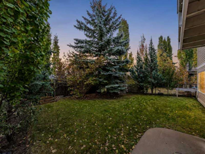 40 Cougar Ridge Heights SW - 4