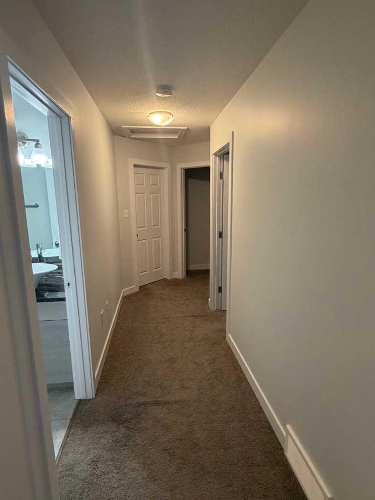 3-3922 Sundance Road, Coalhurst, AB, T0L 0V0 - 28