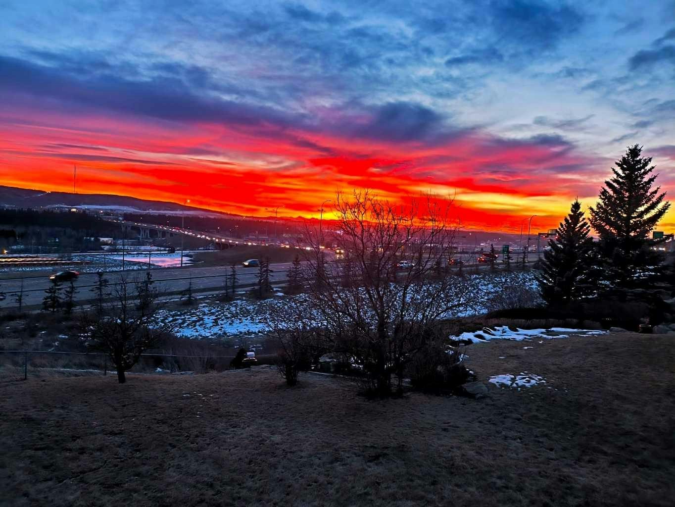 78 Scimitar View NW, Calgary, AB, T3L 2B5