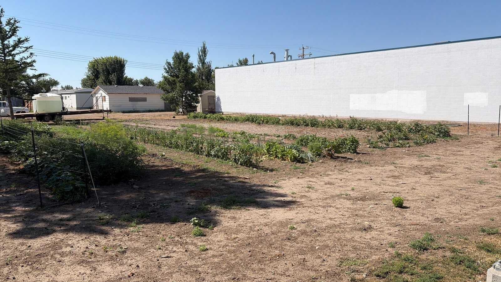 319 2 Avenue N, Vauxhall, AB, T0K 2K0