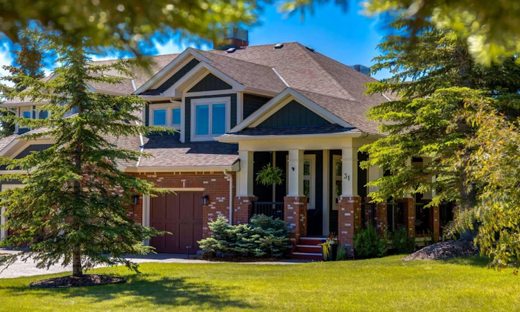 31 Alpine Meadow