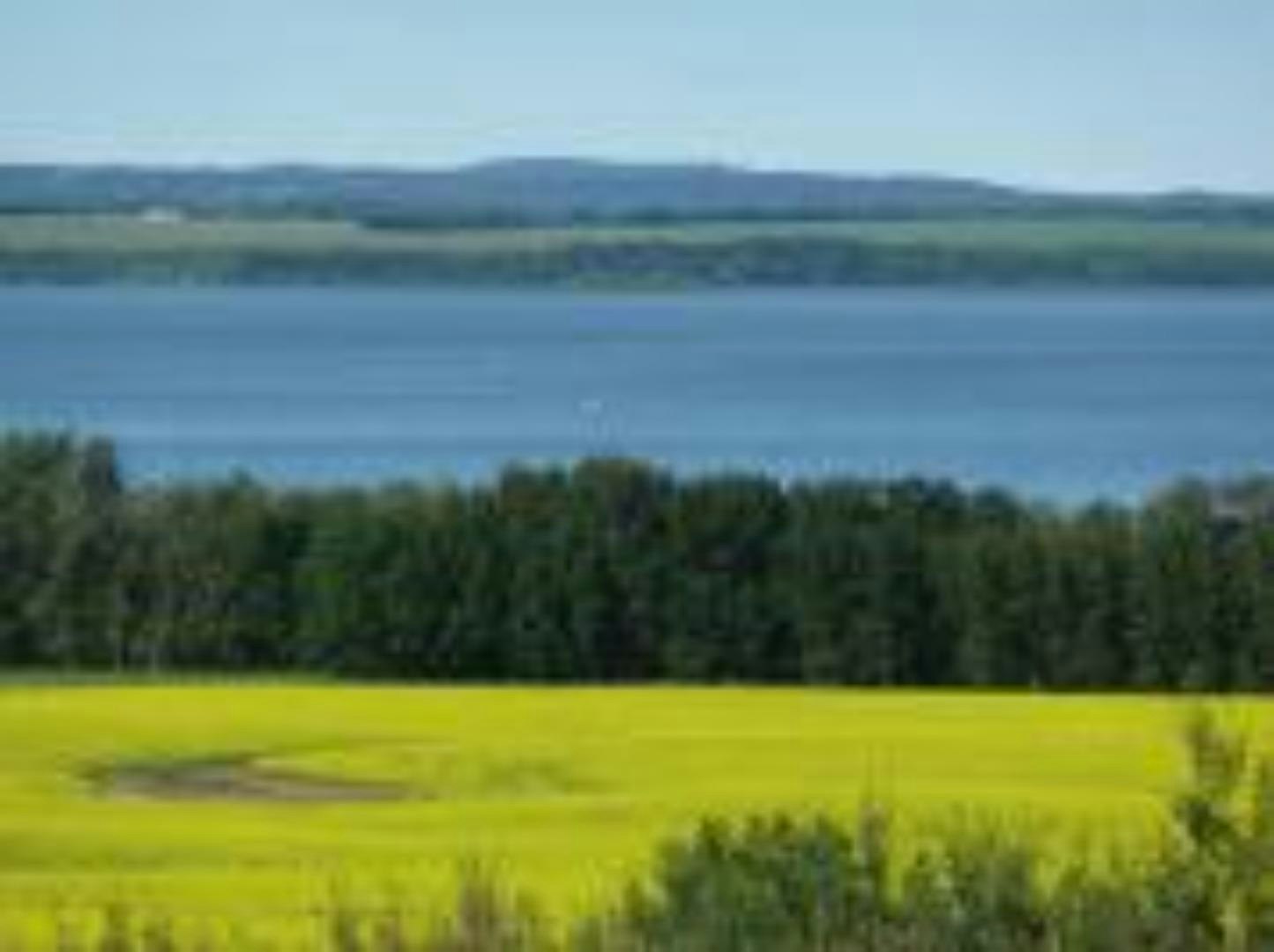 12-420069 Range Road 284, Rural Ponoka County, AB, T4J 1R3