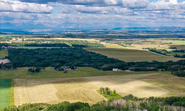 40 acres Badger Road