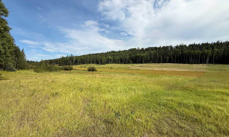 1-23518 Hwy 16 (Carldale)