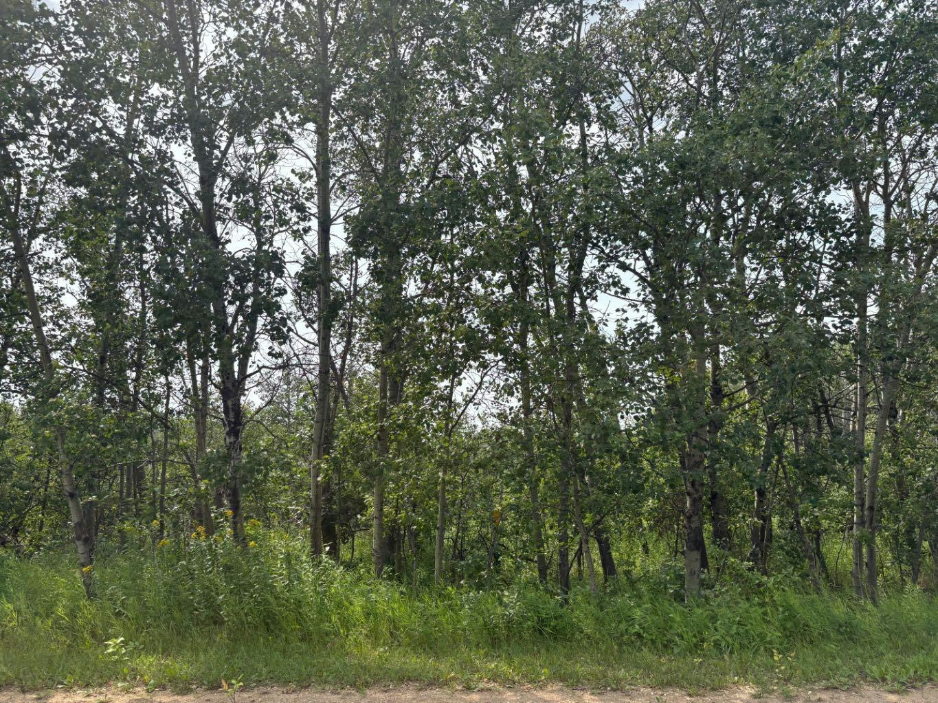 328-22113 Twp Rd 440, Wetaskiwin, AB, T0B 1M0