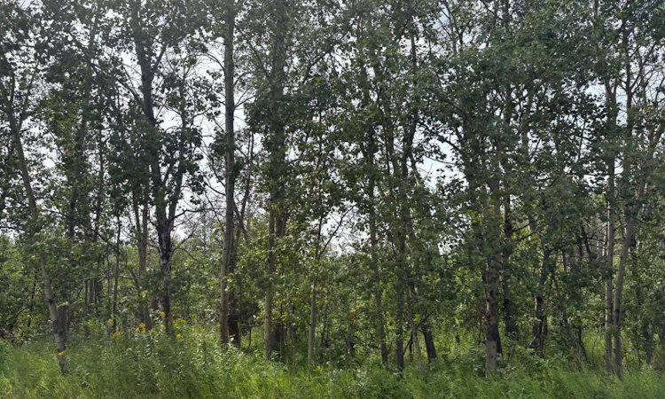328-22113 Twp Rd 440