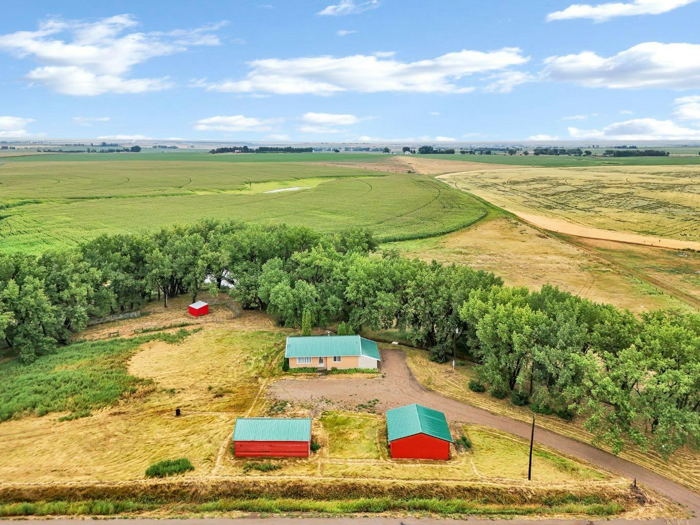 12417 Range Road 71, Rural Cypress County, AB, T1A 7E5