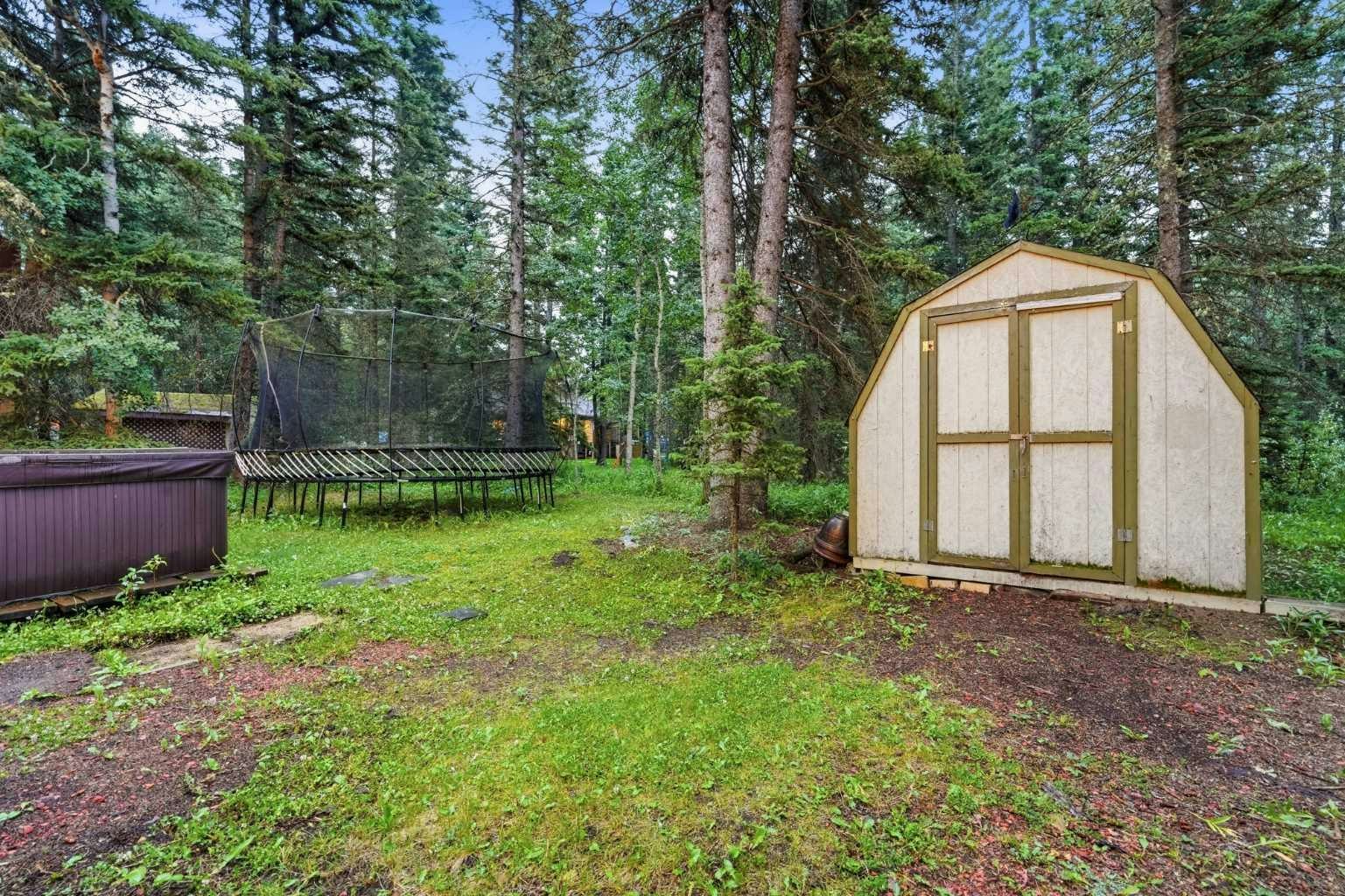 31 Manyhorses Drive, Rural Rocky View County, AB, T3Z 1A2 - 38