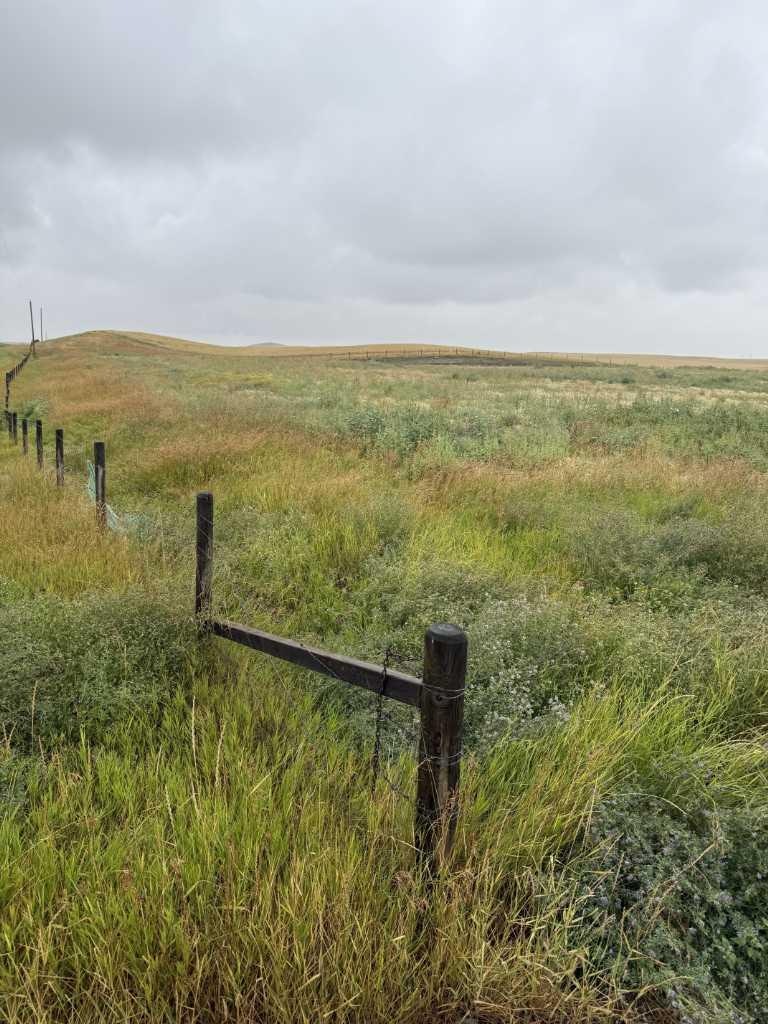 11005 Eagle Butte Road, Rural Cypress County, AB, T1B 0L1