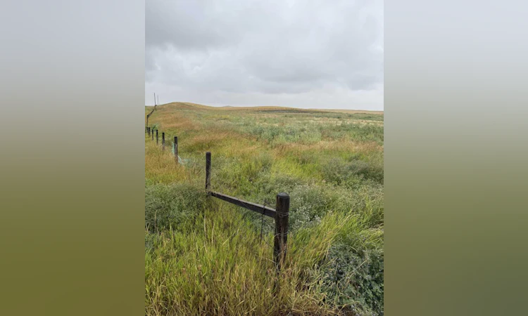 11005 Eagle Butte Road