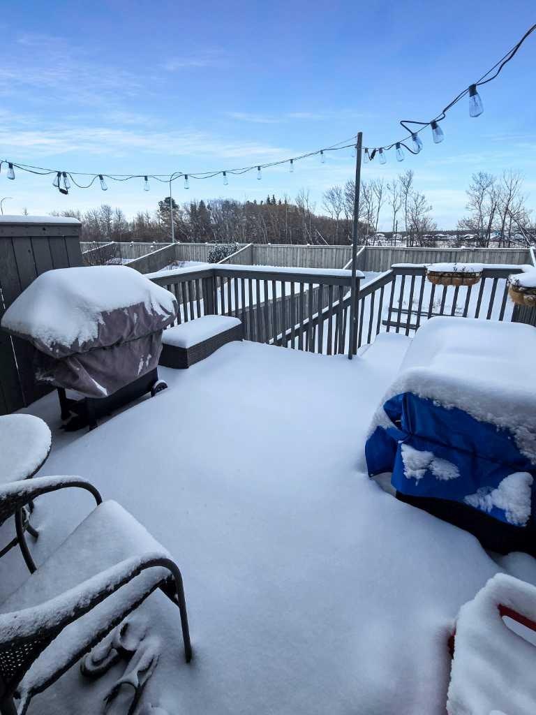 11227 69 Avenue, Grande Prairie, AB, T8W 0G1 - 12