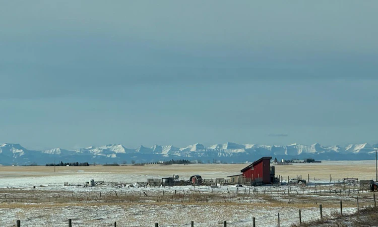 272079 Highway 547