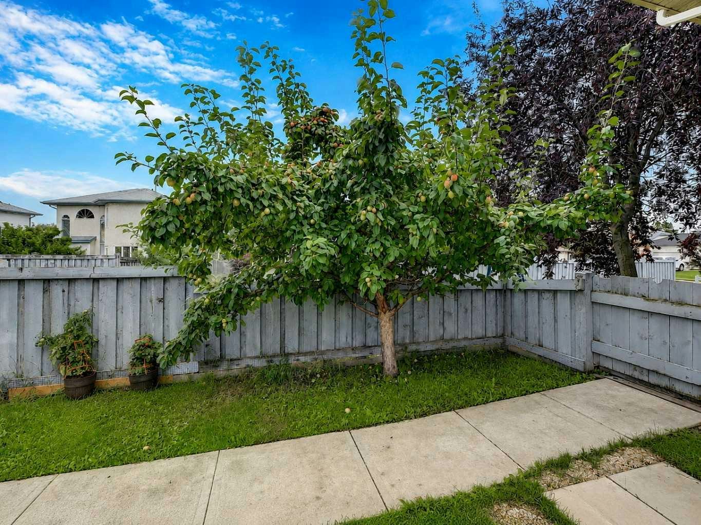 8914 117 Avenue Avenue, Grande Prairie, AB, T8X 1K2 - 34