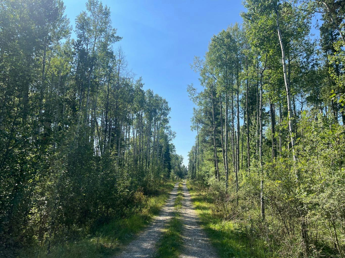 75033 Township Road 37 4, Rural Clearwater County, AB, T4T 1A4