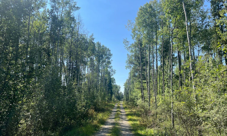 75033 Township Road 37 4
