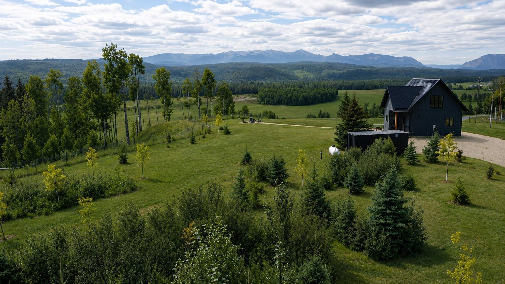213 Misty Valley Close, Rural Clearwater County, AB, T0M 2H0