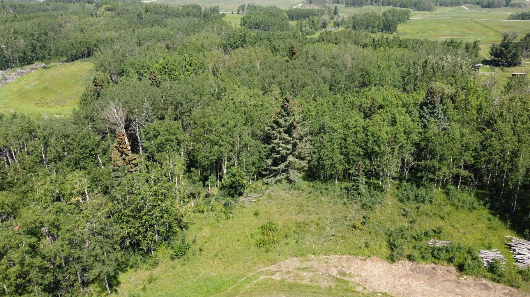 28 Elkstone Way, Rural Rocky View County, AB, T4C 2Y8