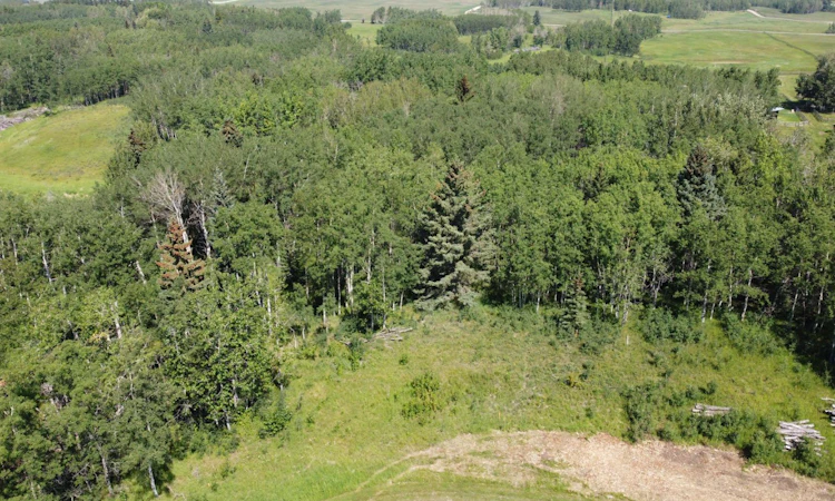 28 Elkstone Way