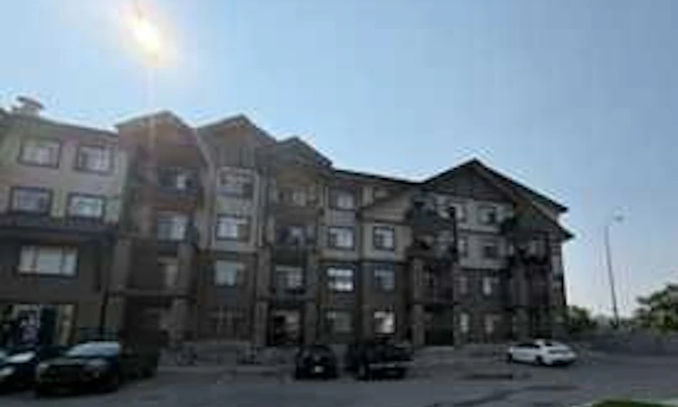 219-117 Copperpond Common SE