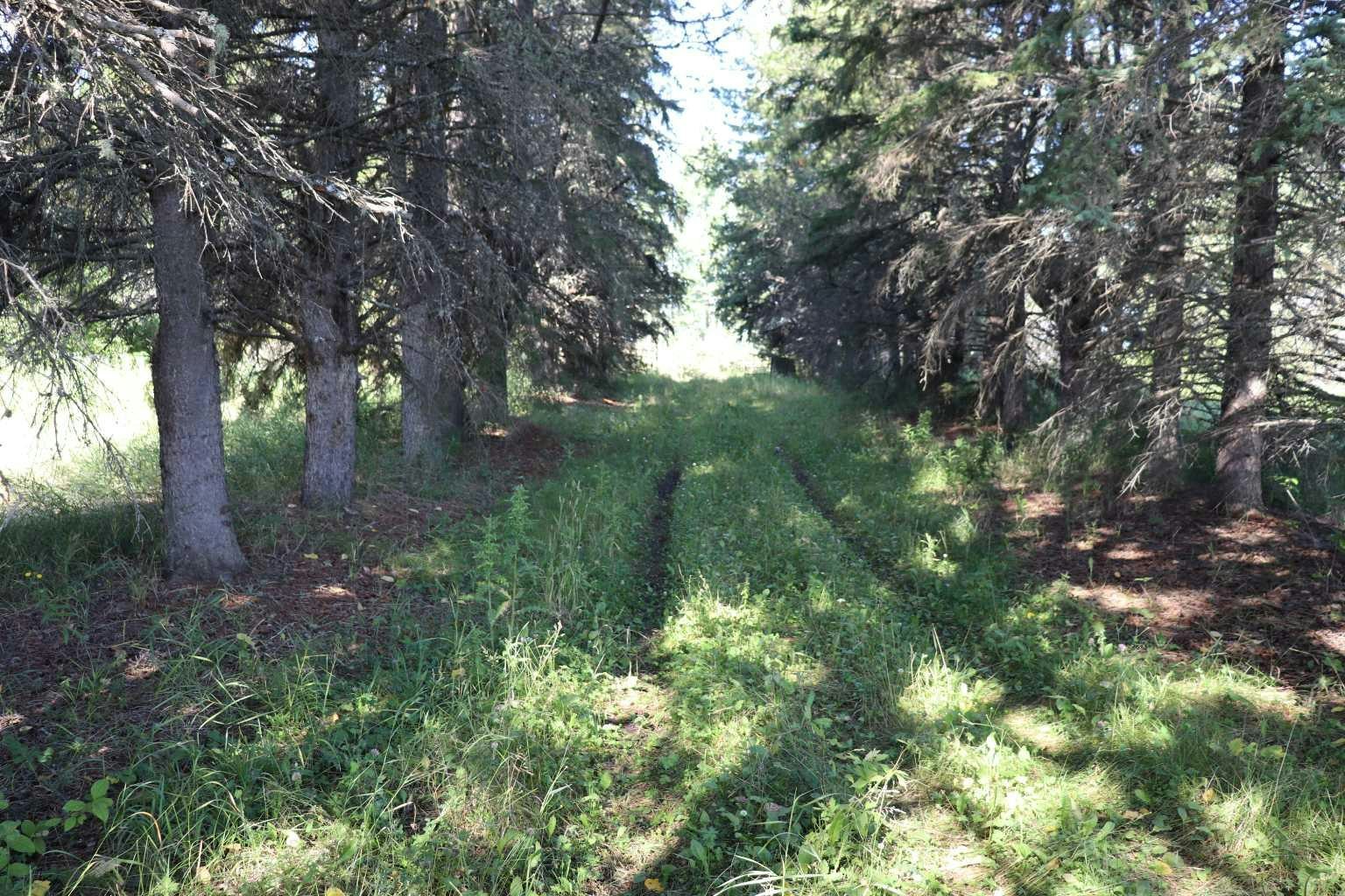 53209 Range Road 93, Rural Yellowhead, AB, T0E 2M0