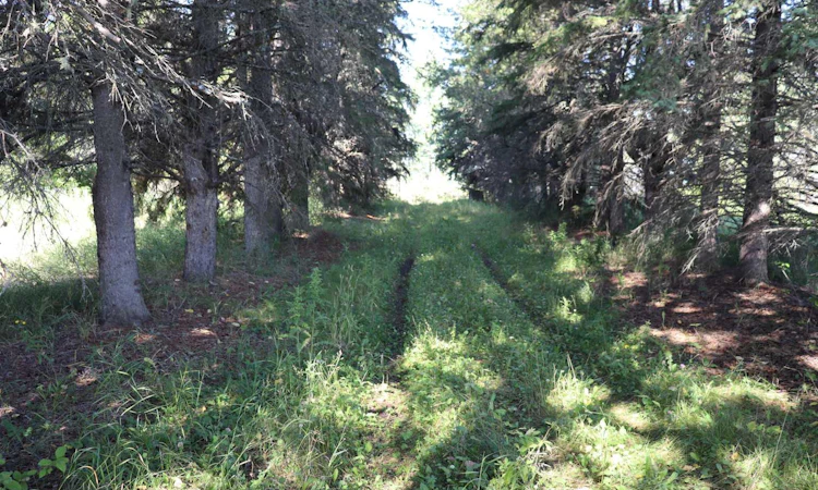 53209 Range Road 93