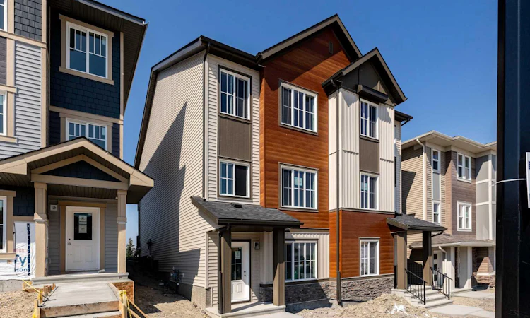 5 Tillotson Loop