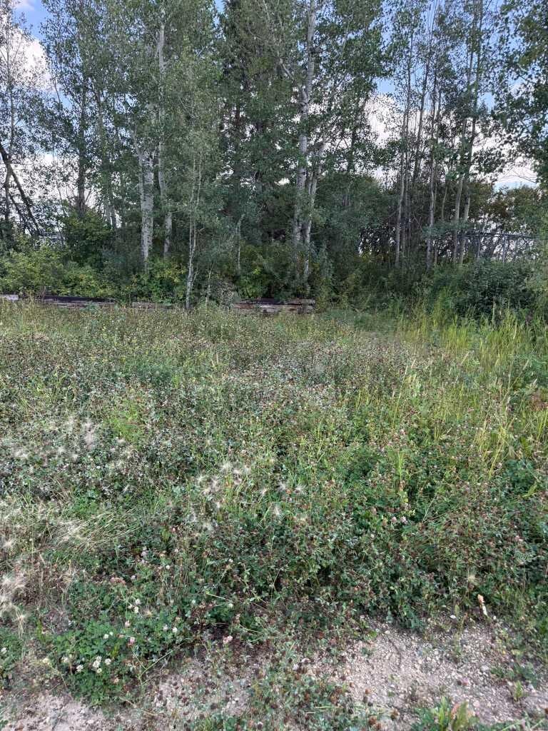 1019 Township Road 391, Red Deer County, AB, T4P 0E8