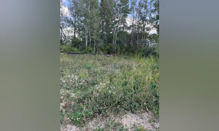 1019 Township Road 391