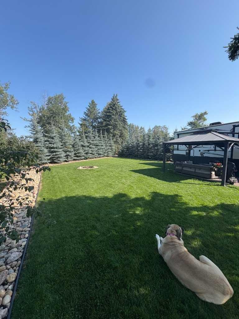 131-41310 Range Road 282, Lacombe, AB, T0C 0J0