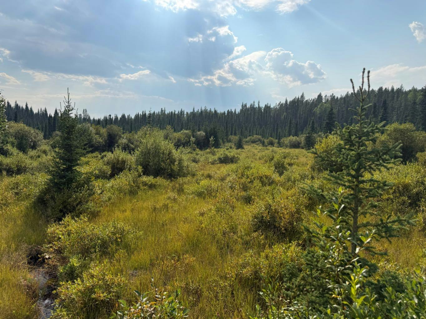 63067 Township Road 311, Rural Bighorn M.D., AB, T0M 0X1