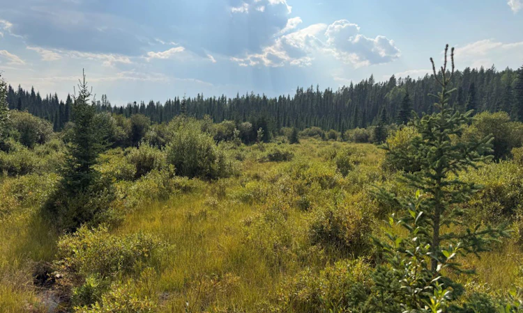 63067 Township Road 311