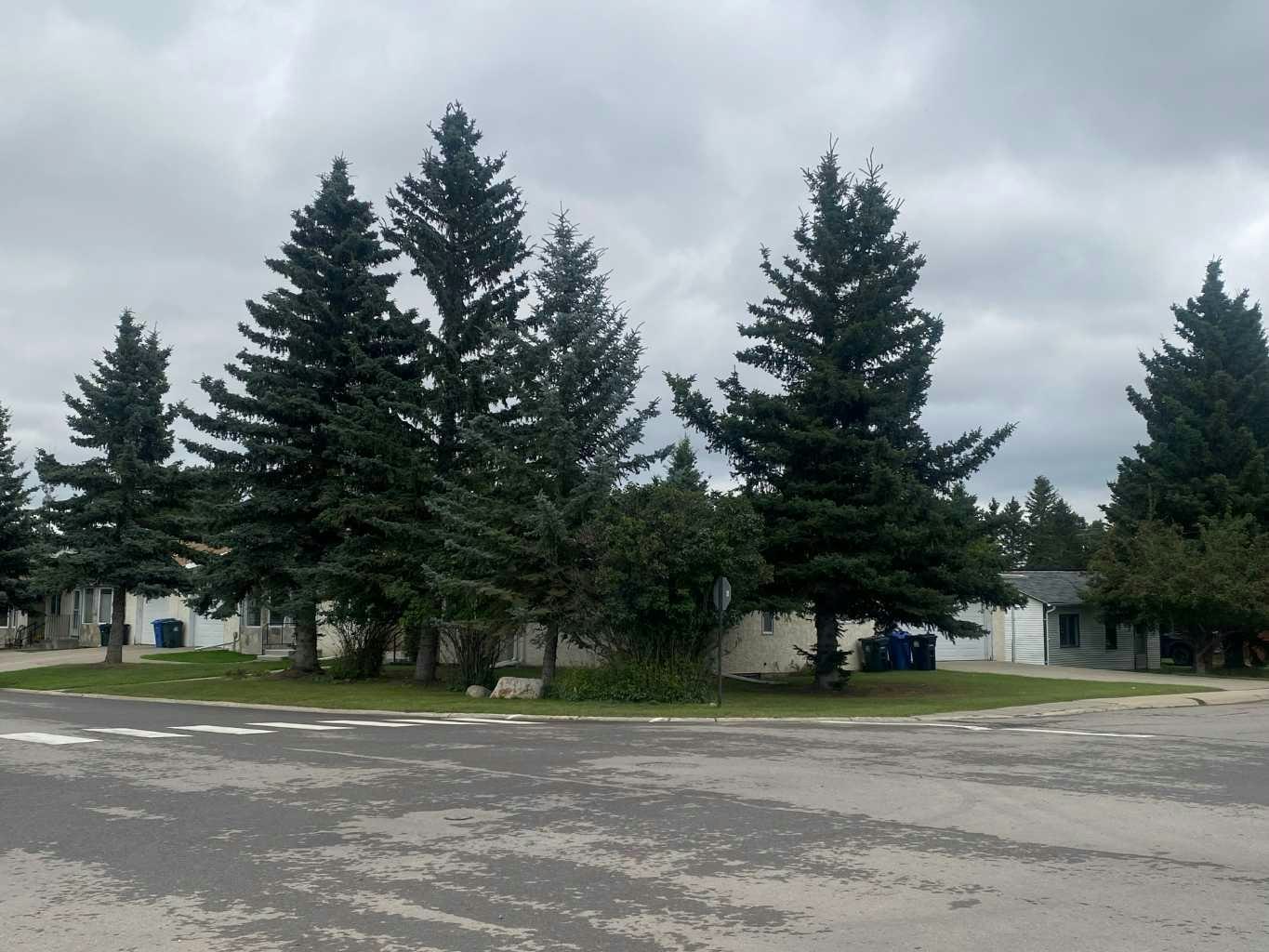 415 1 Avenue NW, Sundre, AB, T0M 1X0